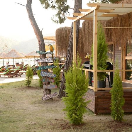 Green Pine Bungalows & Beach Luxury Concept Ολουντενίζ Εξωτερικό φωτογραφία
