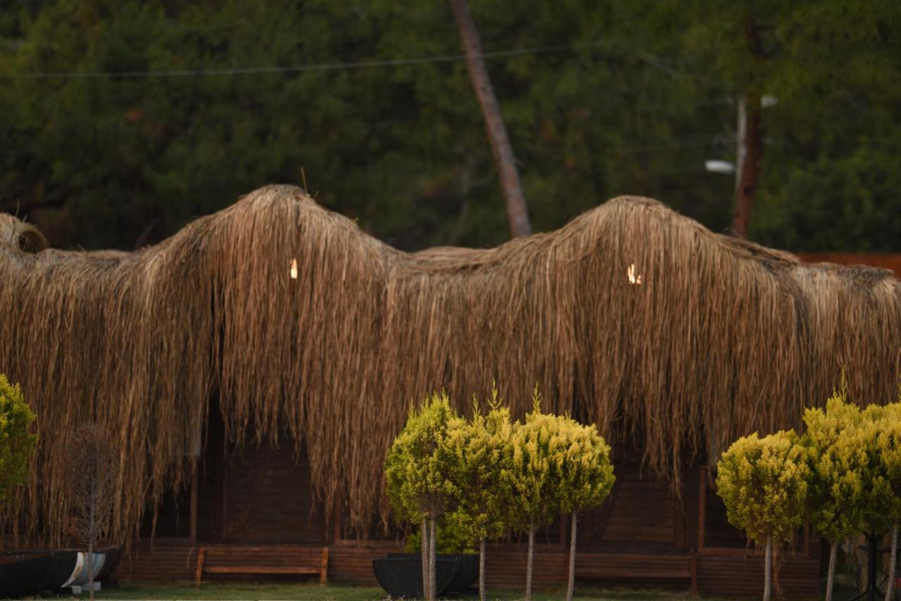 Green Pine Bungalows & Beach Luxury Concept Ολουντενίζ Εξωτερικό φωτογραφία