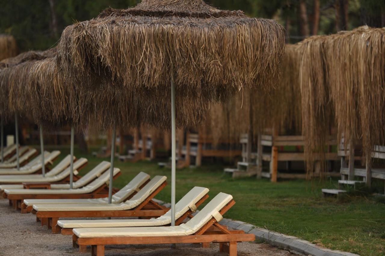 Green Pine Bungalows & Beach Luxury Concept Ολουντενίζ Εξωτερικό φωτογραφία