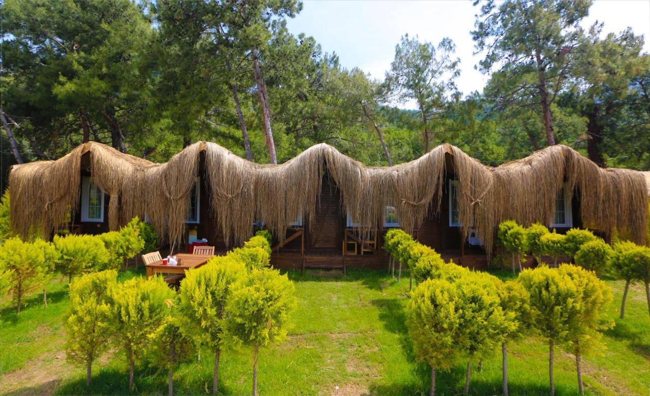 Green Pine Bungalows & Beach Luxury Concept Ολουντενίζ Εξωτερικό φωτογραφία