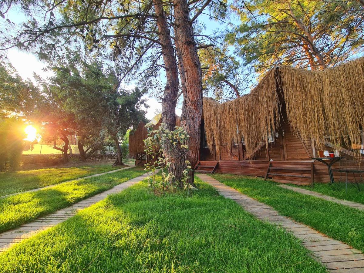 Green Pine Bungalows & Beach Luxury Concept Ολουντενίζ Εξωτερικό φωτογραφία