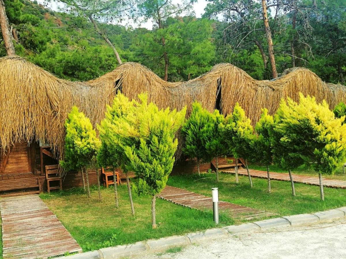 Green Pine Bungalows & Beach Luxury Concept Ολουντενίζ Εξωτερικό φωτογραφία