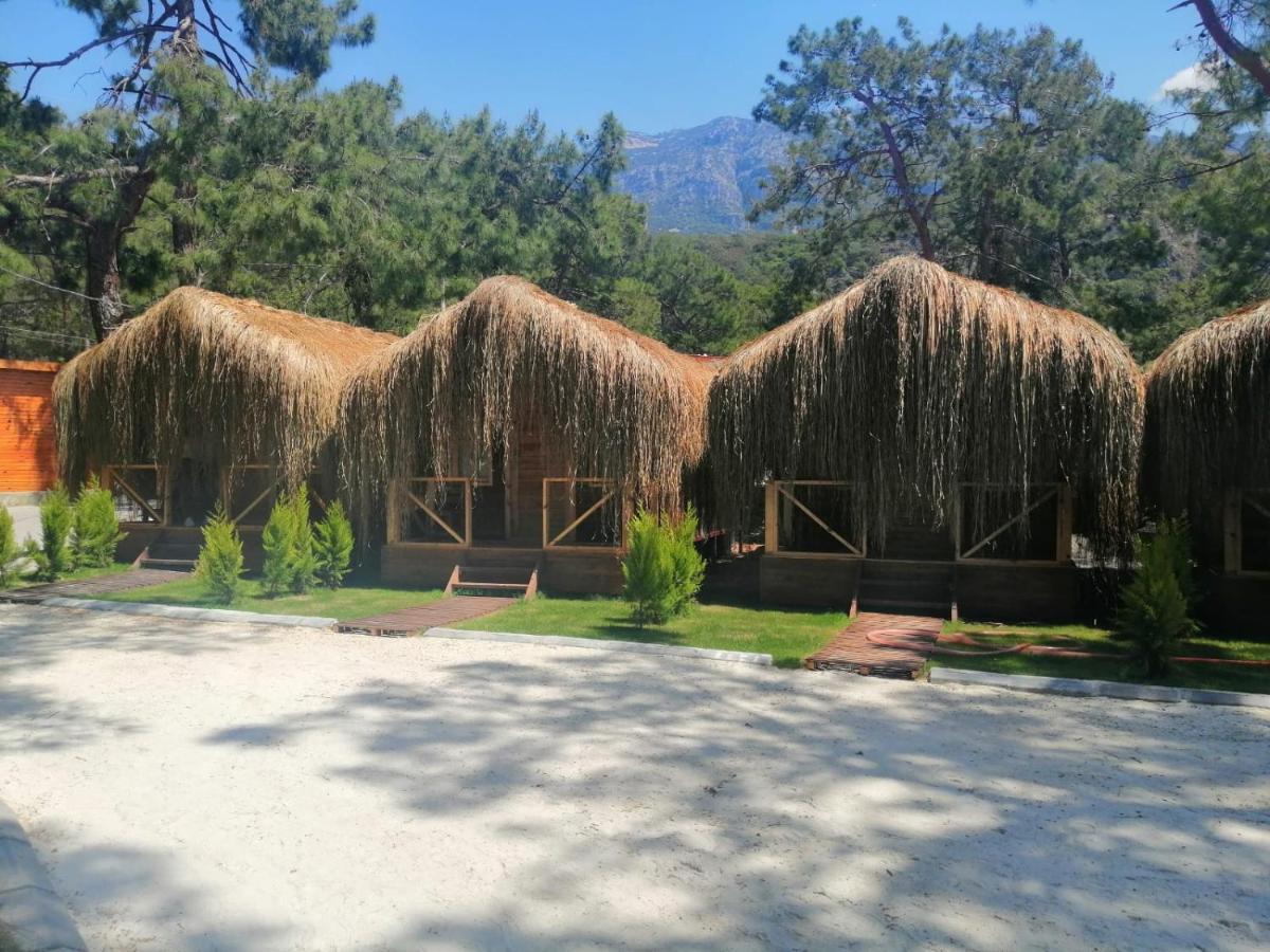 Green Pine Bungalows & Beach Luxury Concept Ολουντενίζ Εξωτερικό φωτογραφία