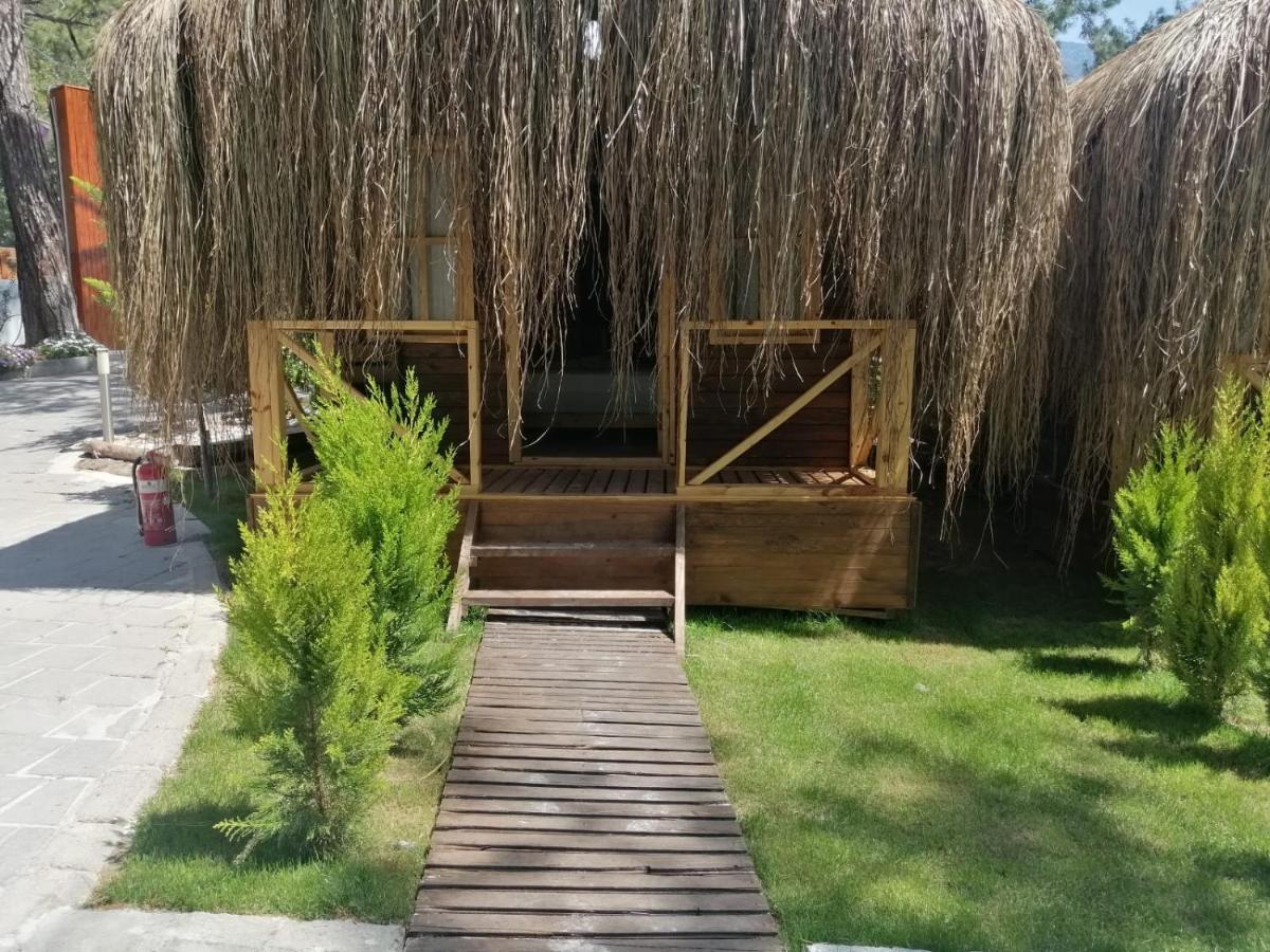 Green Pine Bungalows & Beach Luxury Concept Ολουντενίζ Εξωτερικό φωτογραφία
