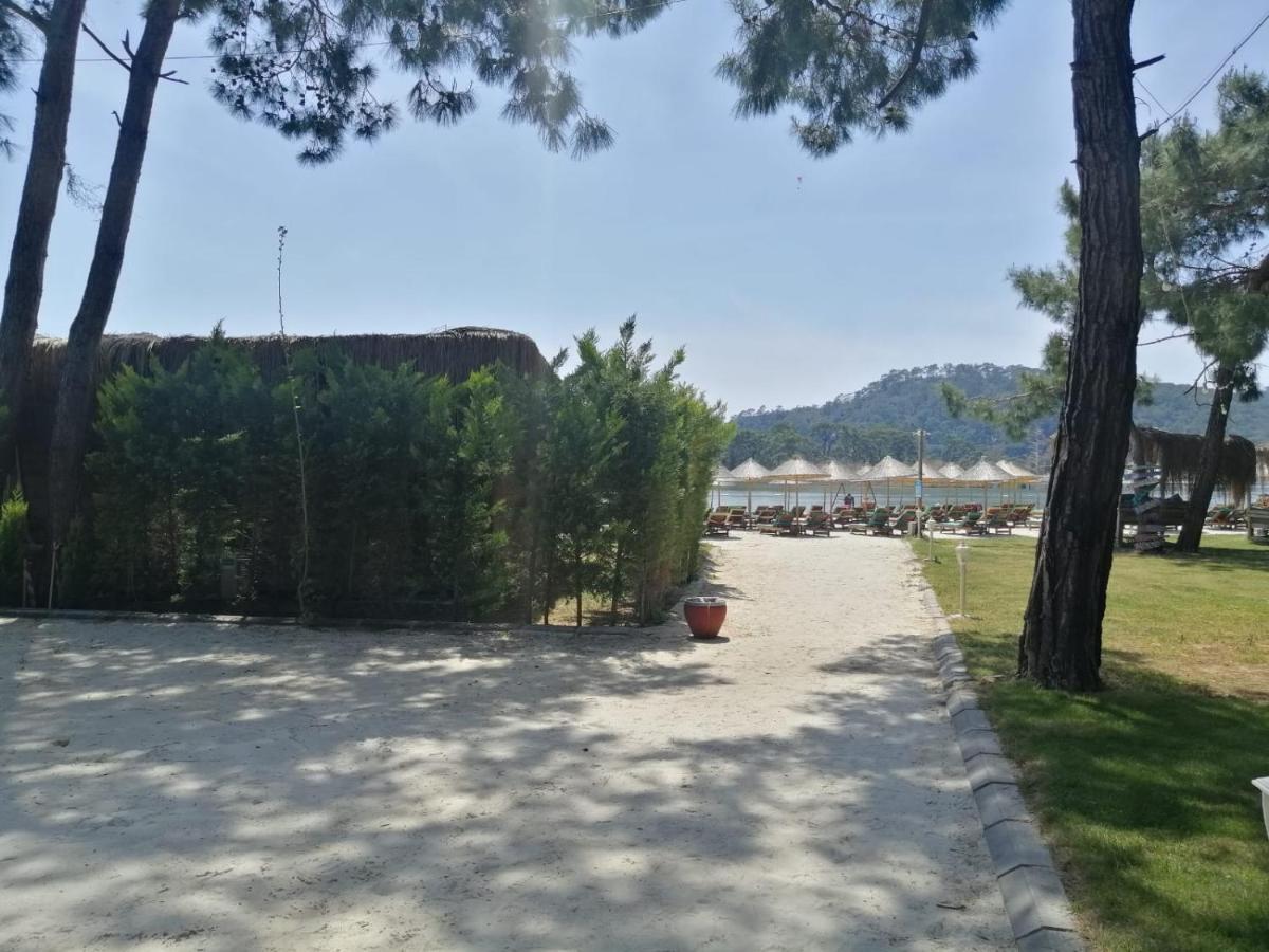 Green Pine Bungalows & Beach Luxury Concept Ολουντενίζ Εξωτερικό φωτογραφία
