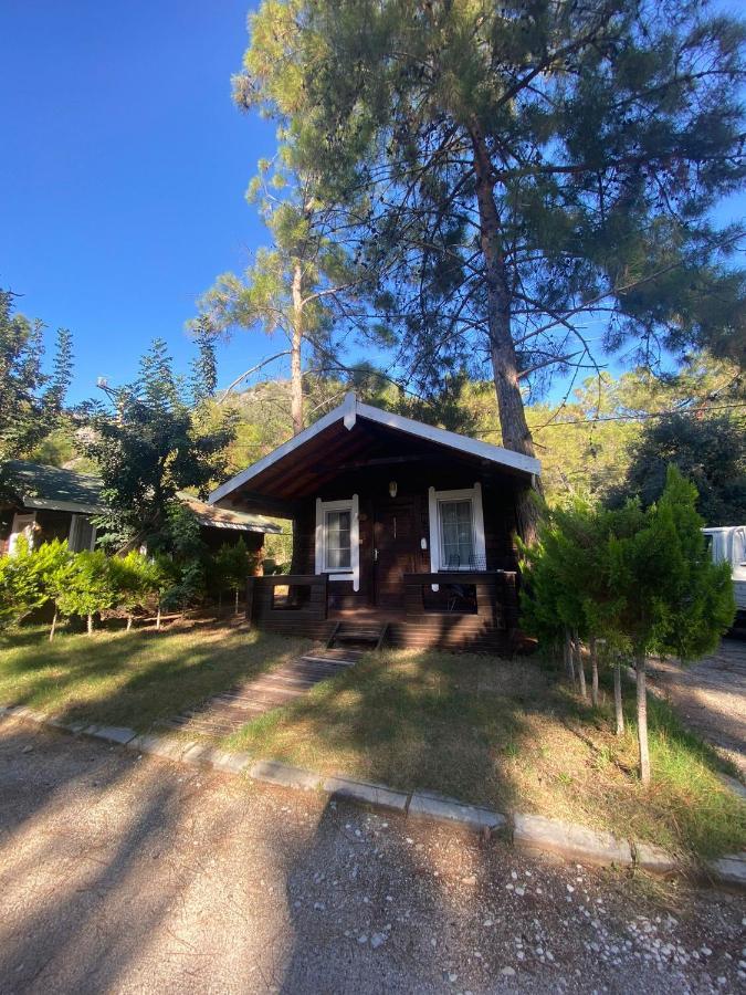 Green Pine Bungalows & Beach Luxury Concept Ολουντενίζ Εξωτερικό φωτογραφία
